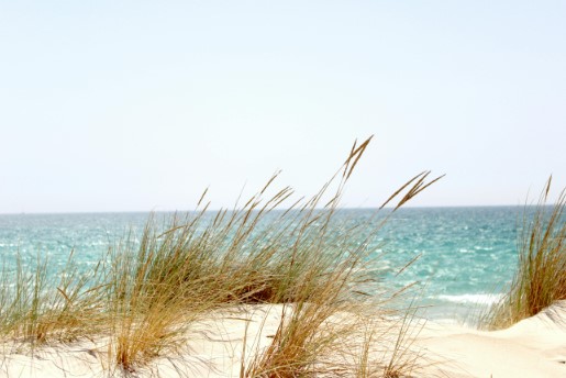 Spiagge Libere a Capalbio: Guida Completa al Mare in Maremma